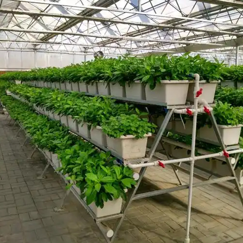 万宁市植物工厂薄膜大棚 - 价格